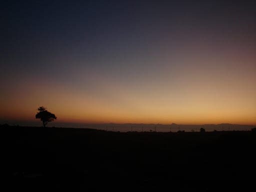 Lonely Tree at End Point Manipal Photo