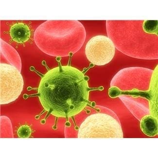 Virus Common Cold