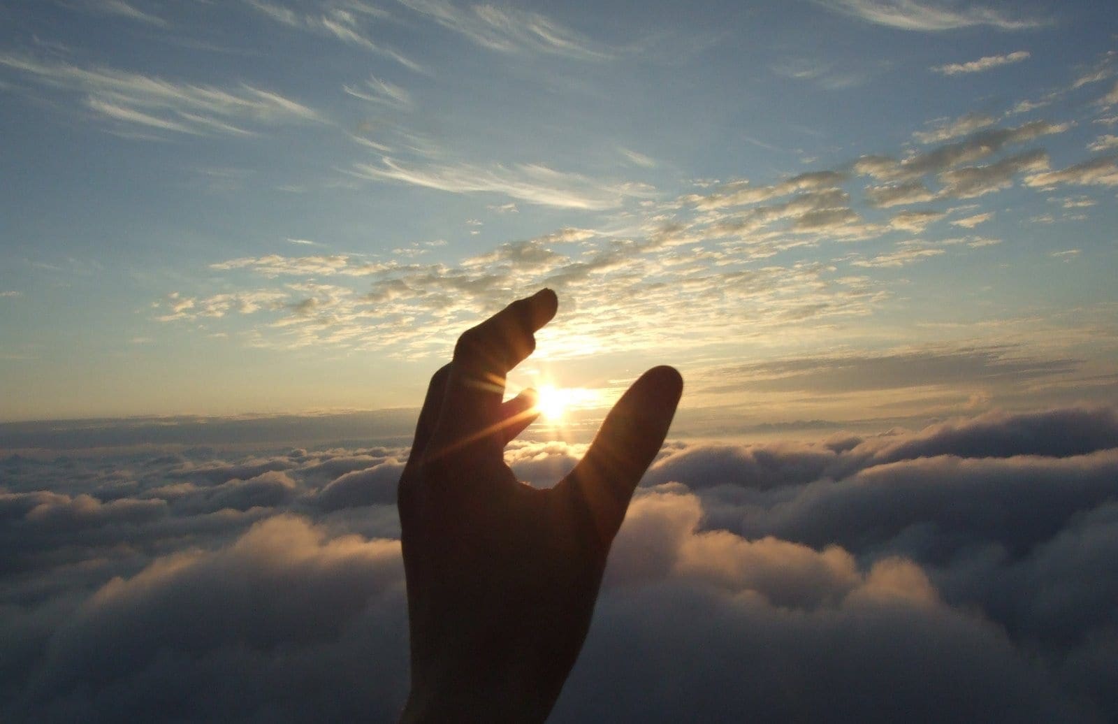 Reach-for-the-Sun