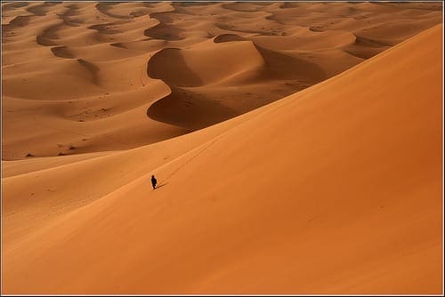 The-Desert