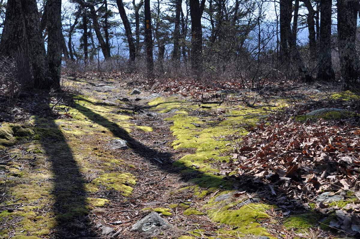 trail2