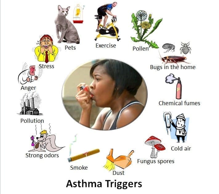 Asthma triggers
