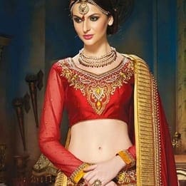 Full Sleeved Blouse Saree