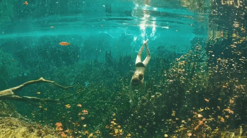 Cenotes, Mexico