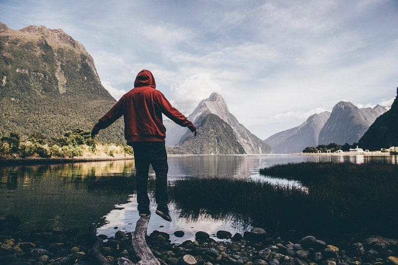 New Zealand Scene