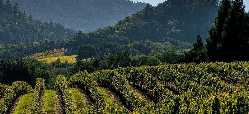 Wine Vineyards Australia