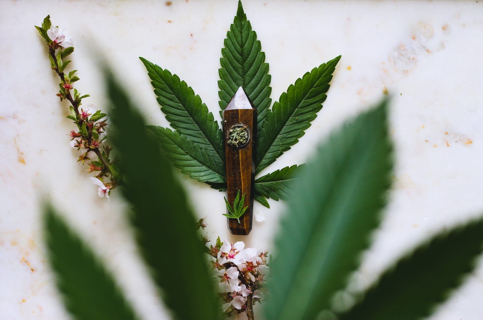 CBD products guide