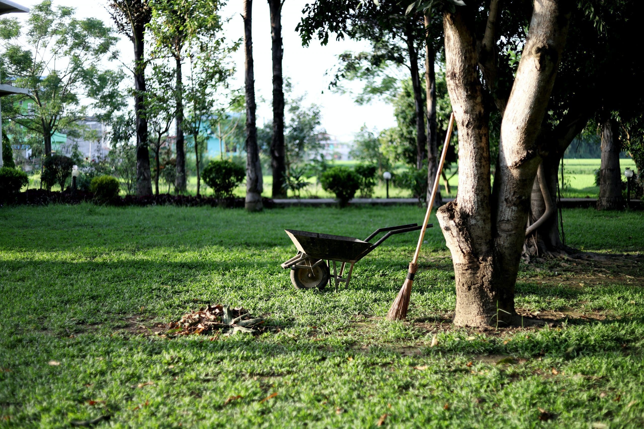 mid-spring beautiful garden black wheelbarrow near tree during daytime