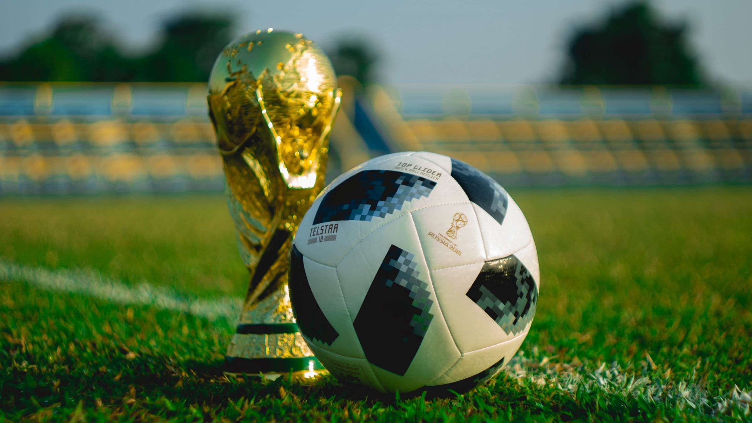 soccer books you will love