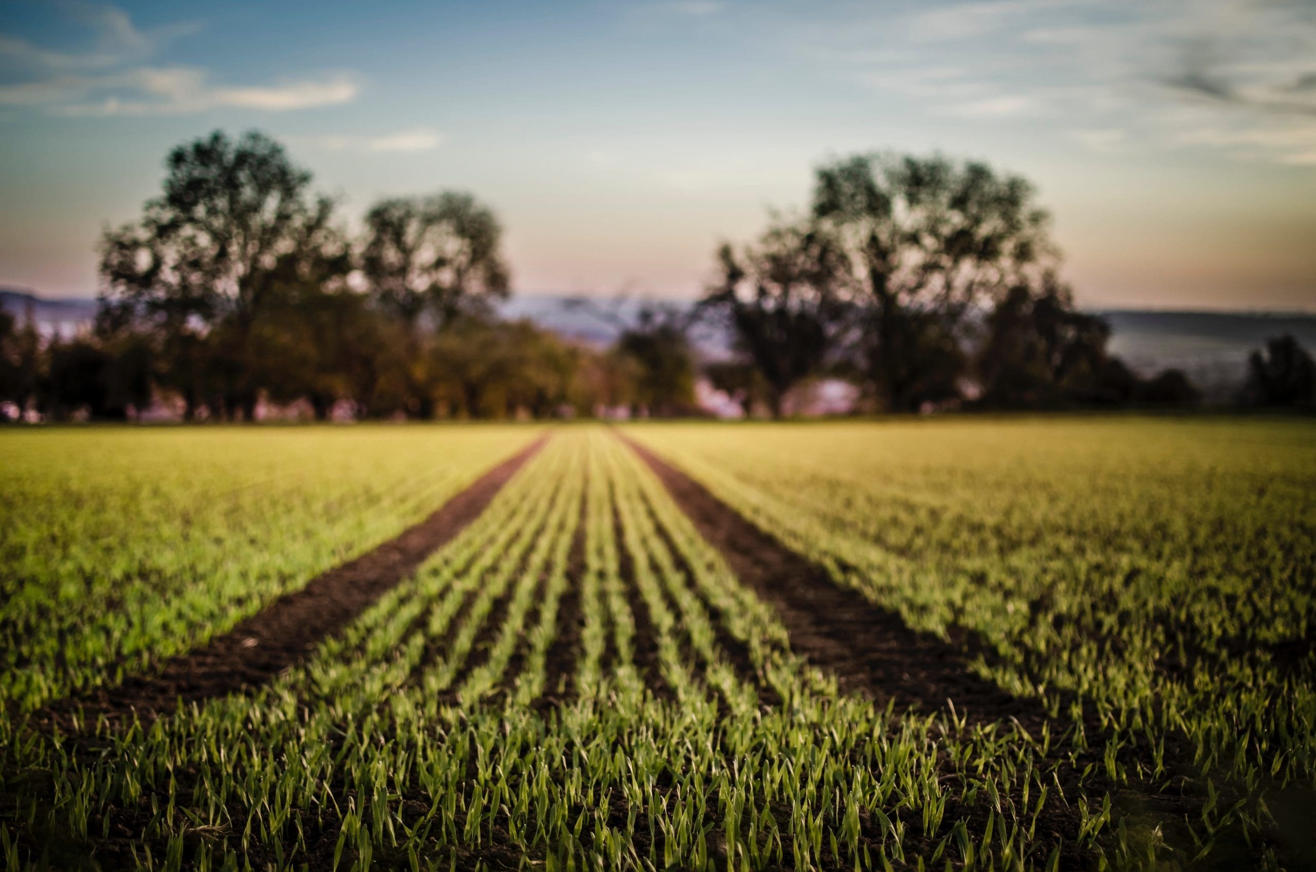 A Career in Agriculture