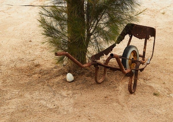 backyard junk removal