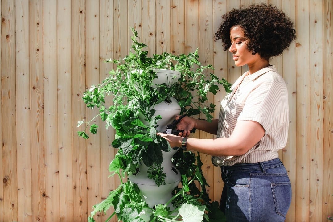 gardening for a relaxed life