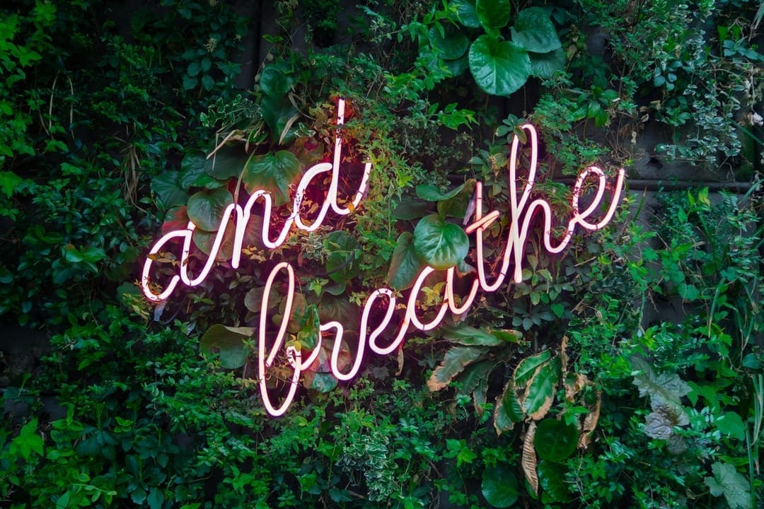 make relaxed life a priority
