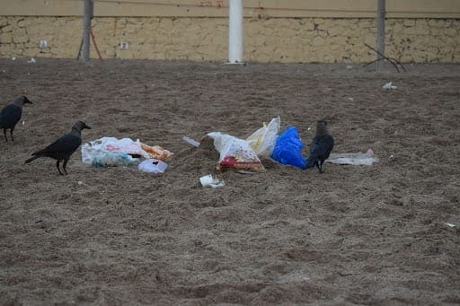 Plastics in the time of eco-crisis
