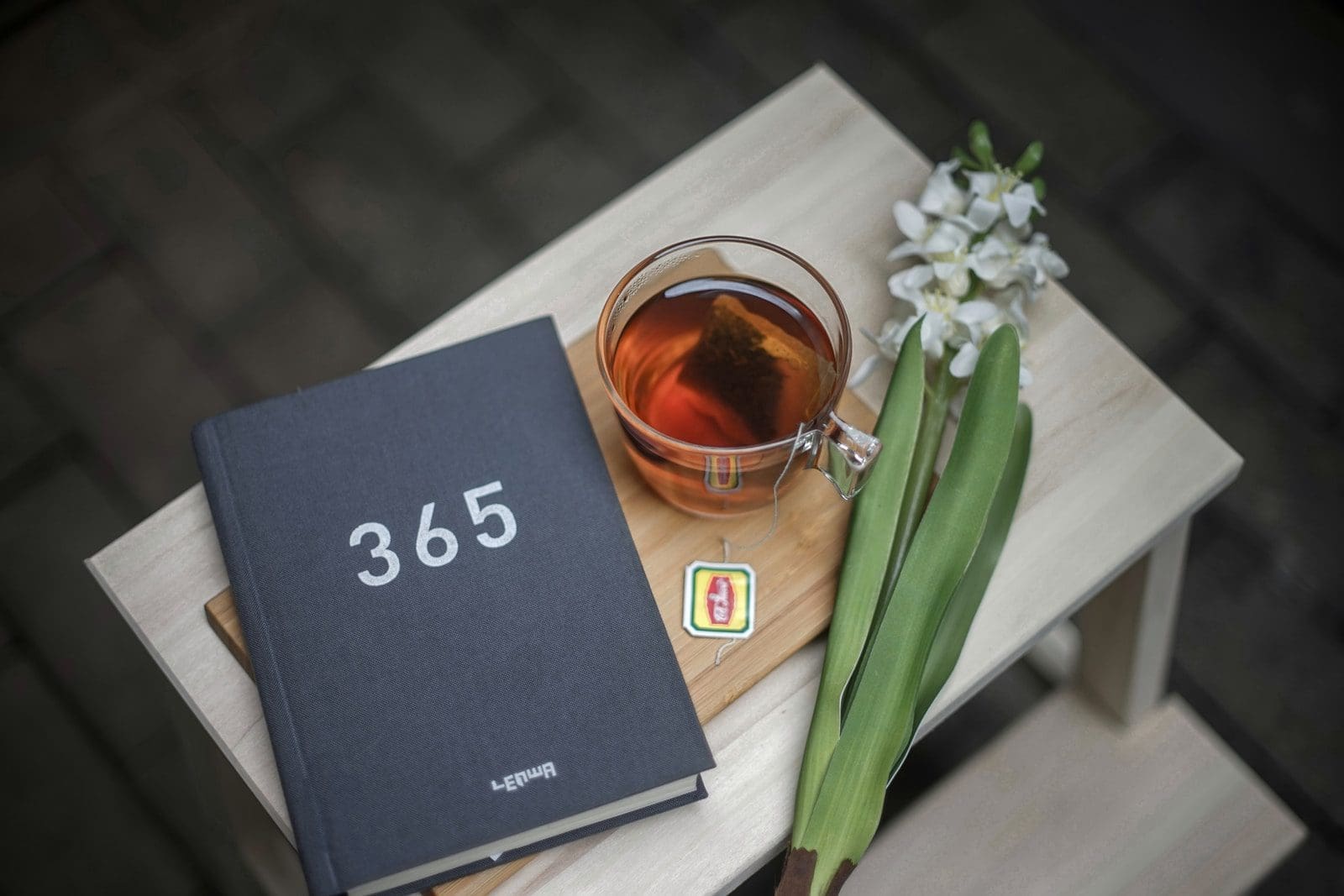 self-publish 365 book beside clear glass mug