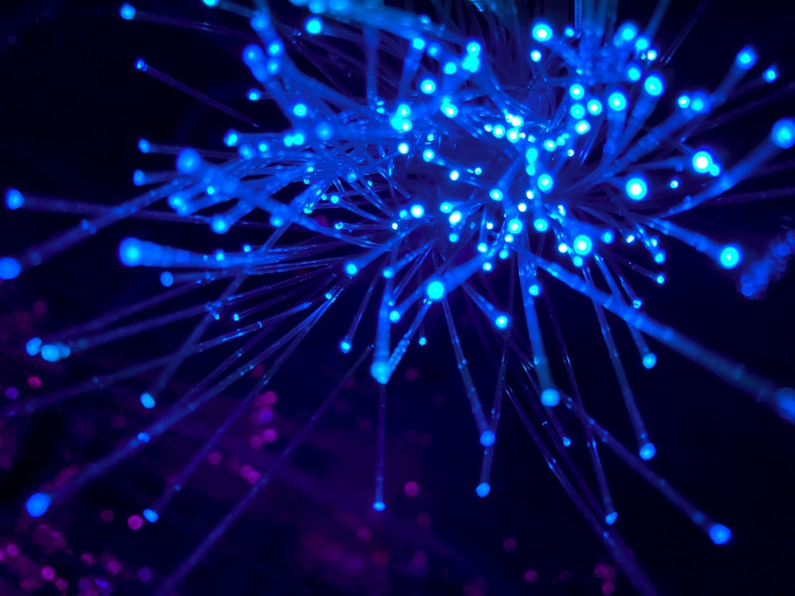 high speed internet purple and blue light digital wallpaper