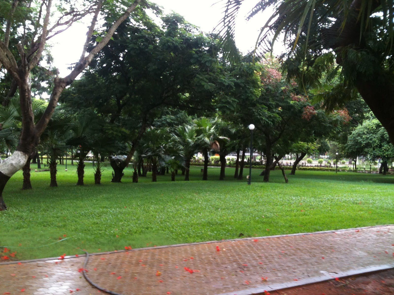 manipal university