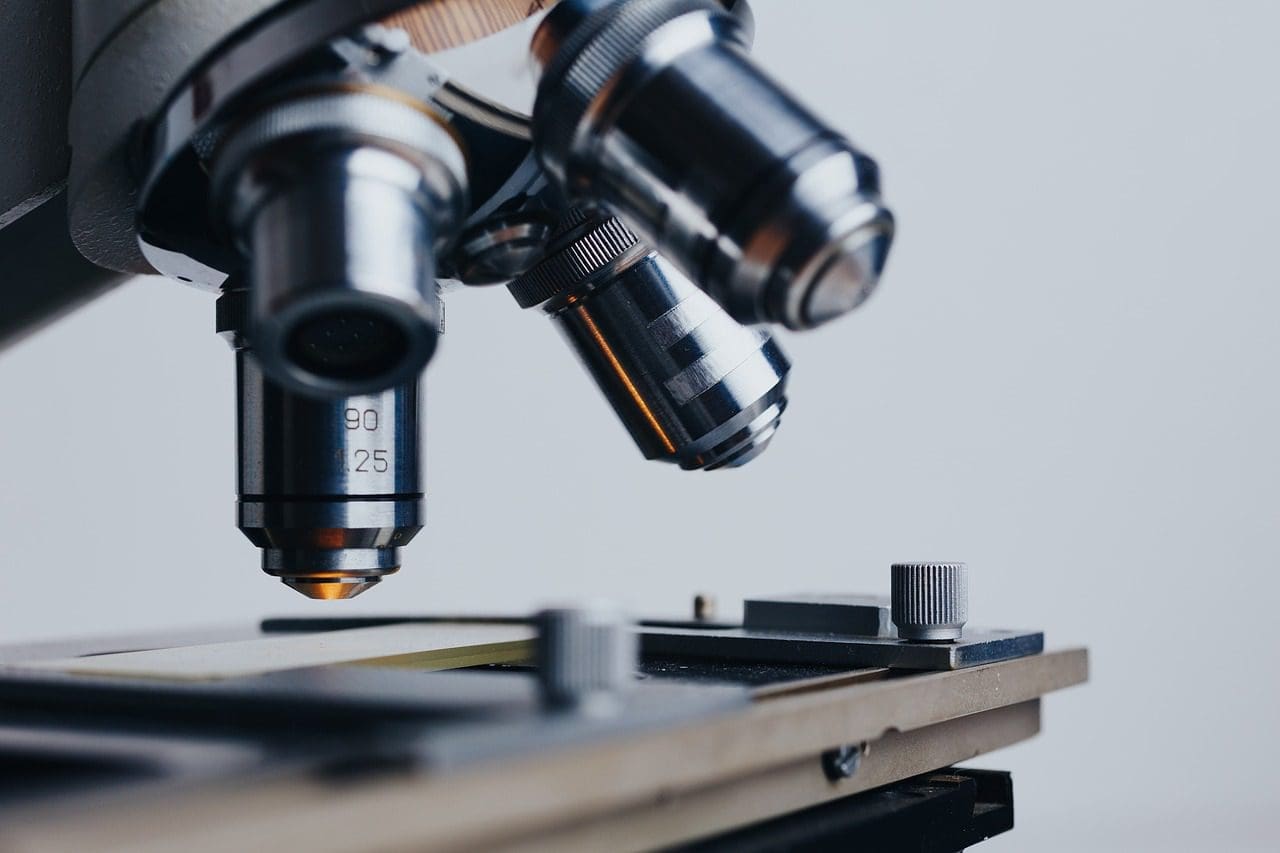 light microscopes
