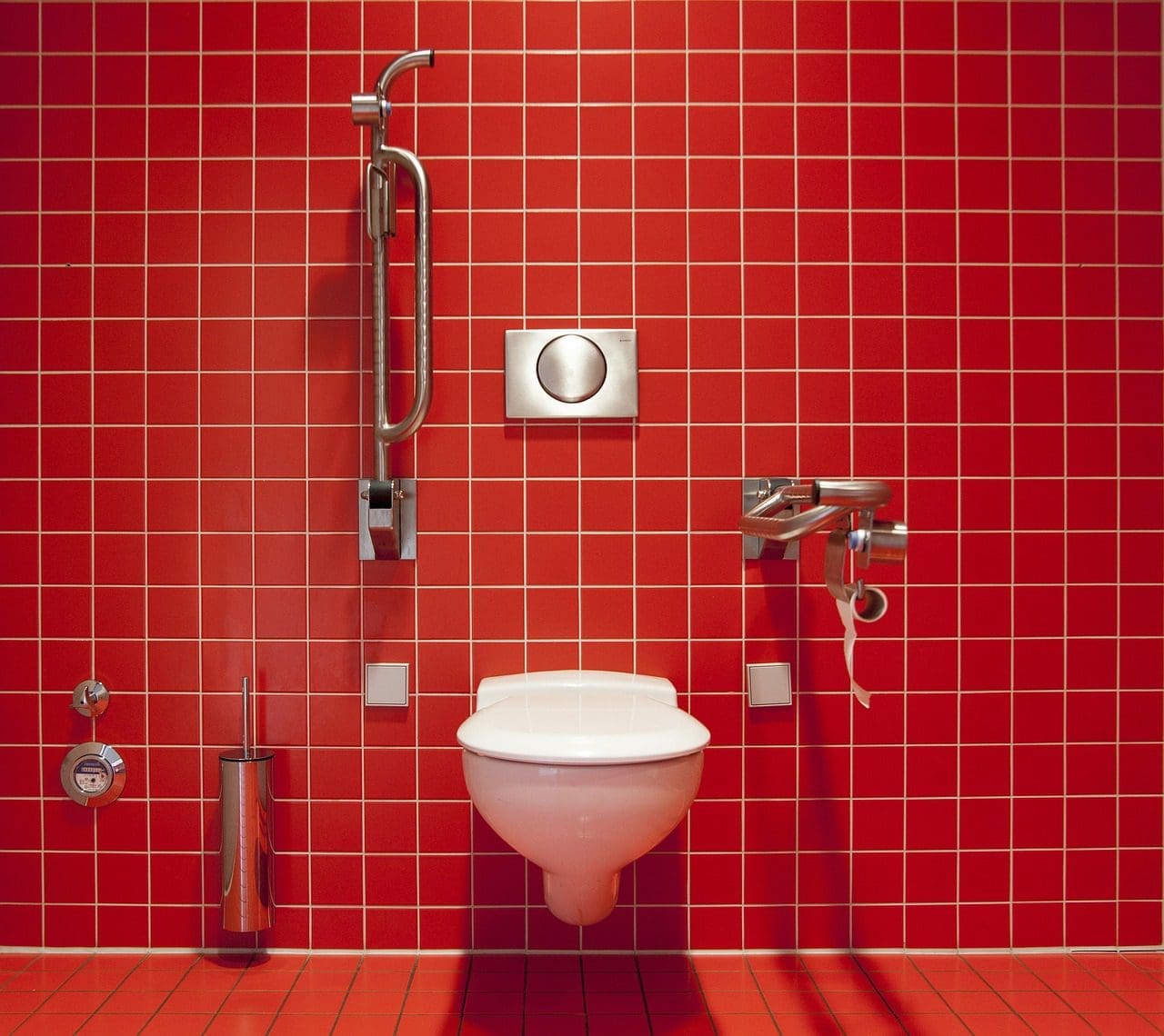 dual flush toilet