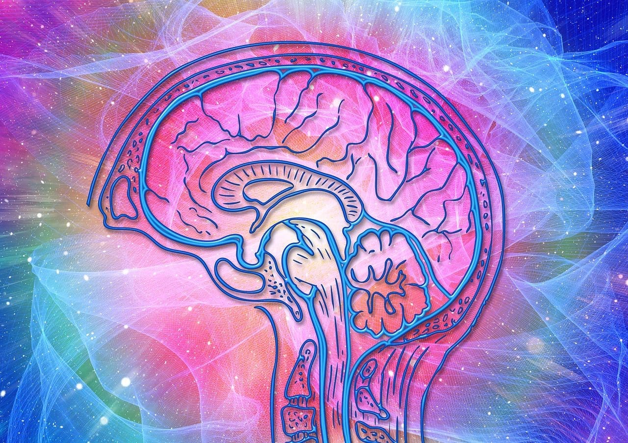 armodafinil 