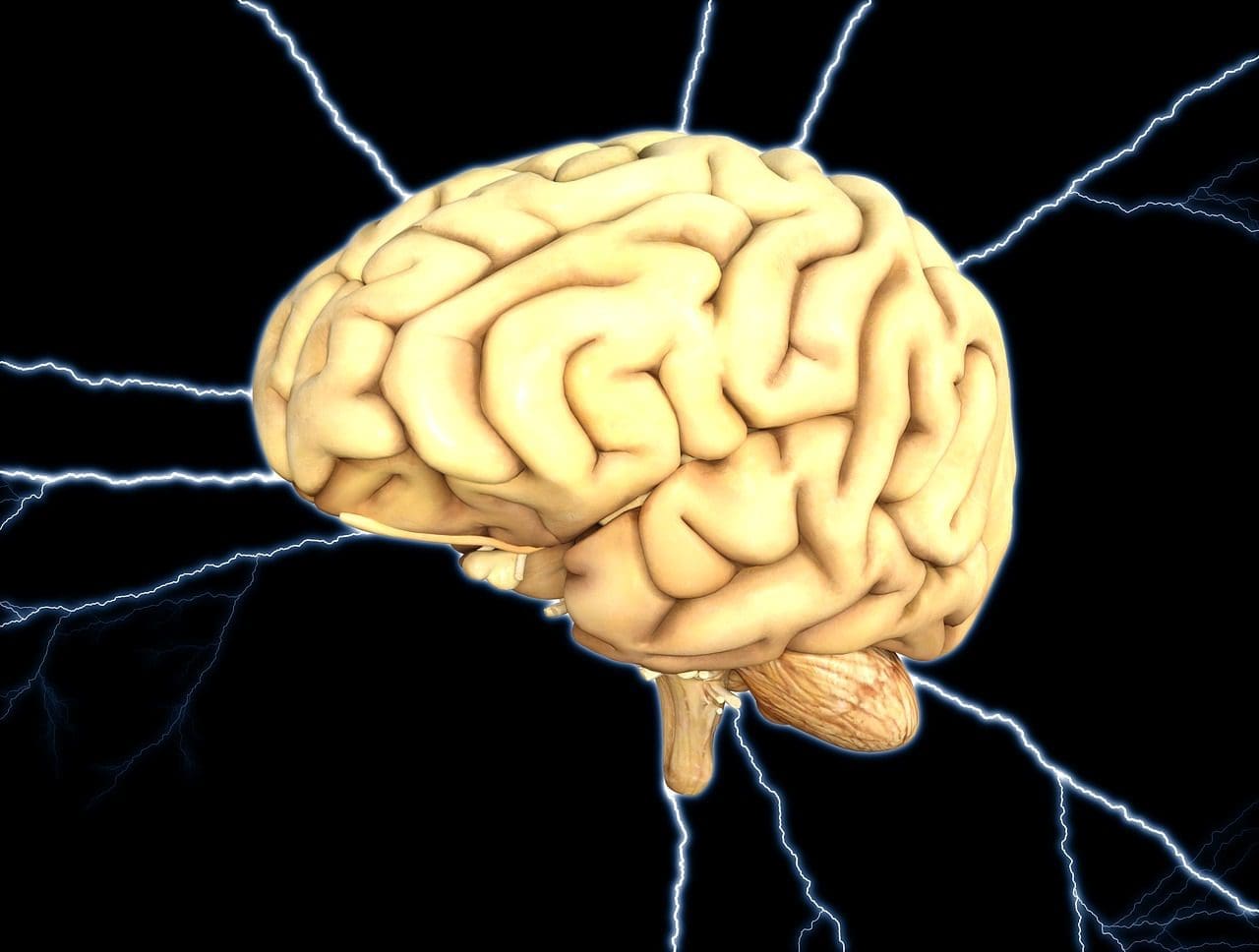 huntington's disease