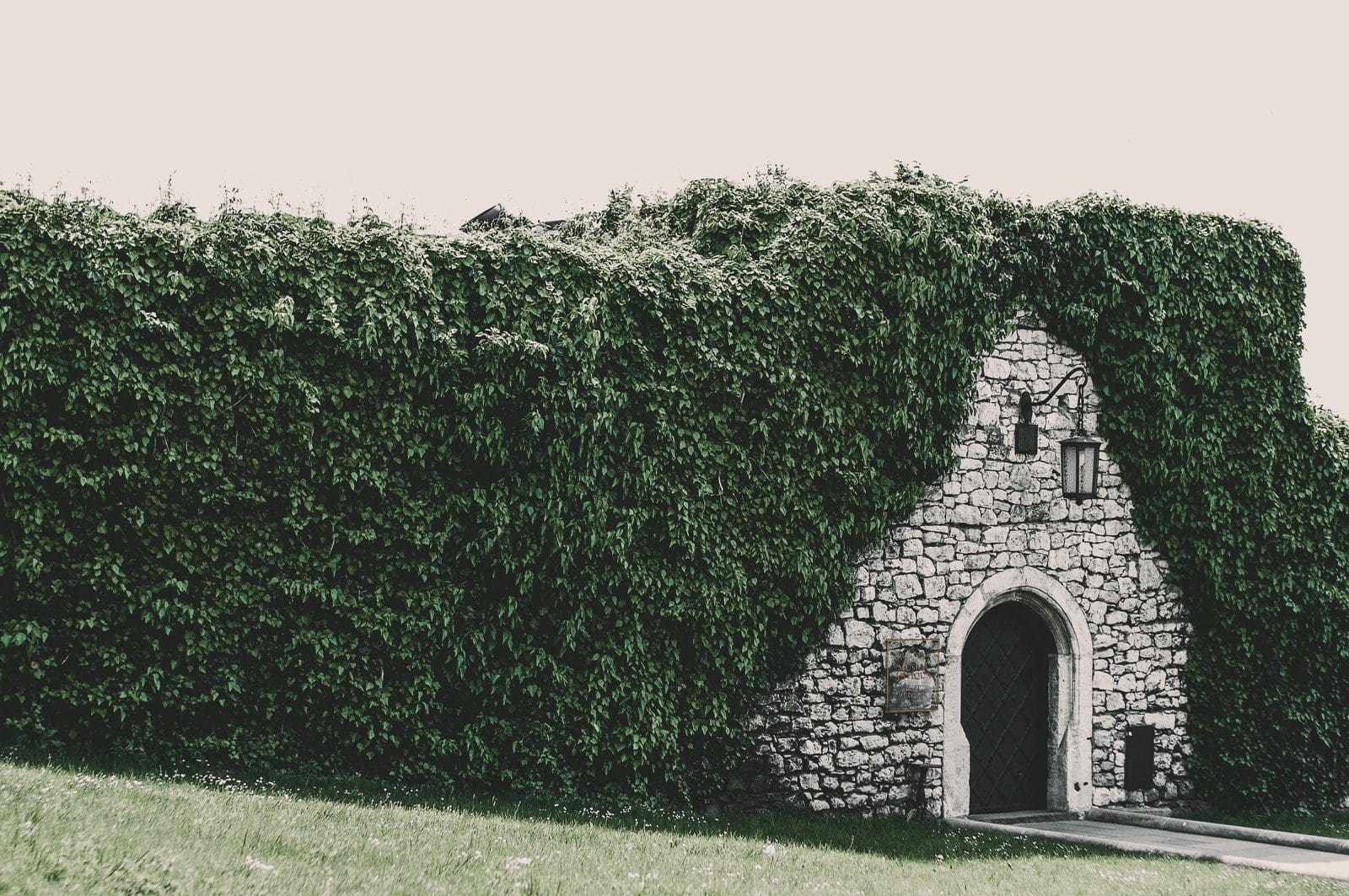 Photo of Brick Wall Tunnel Beside Bush