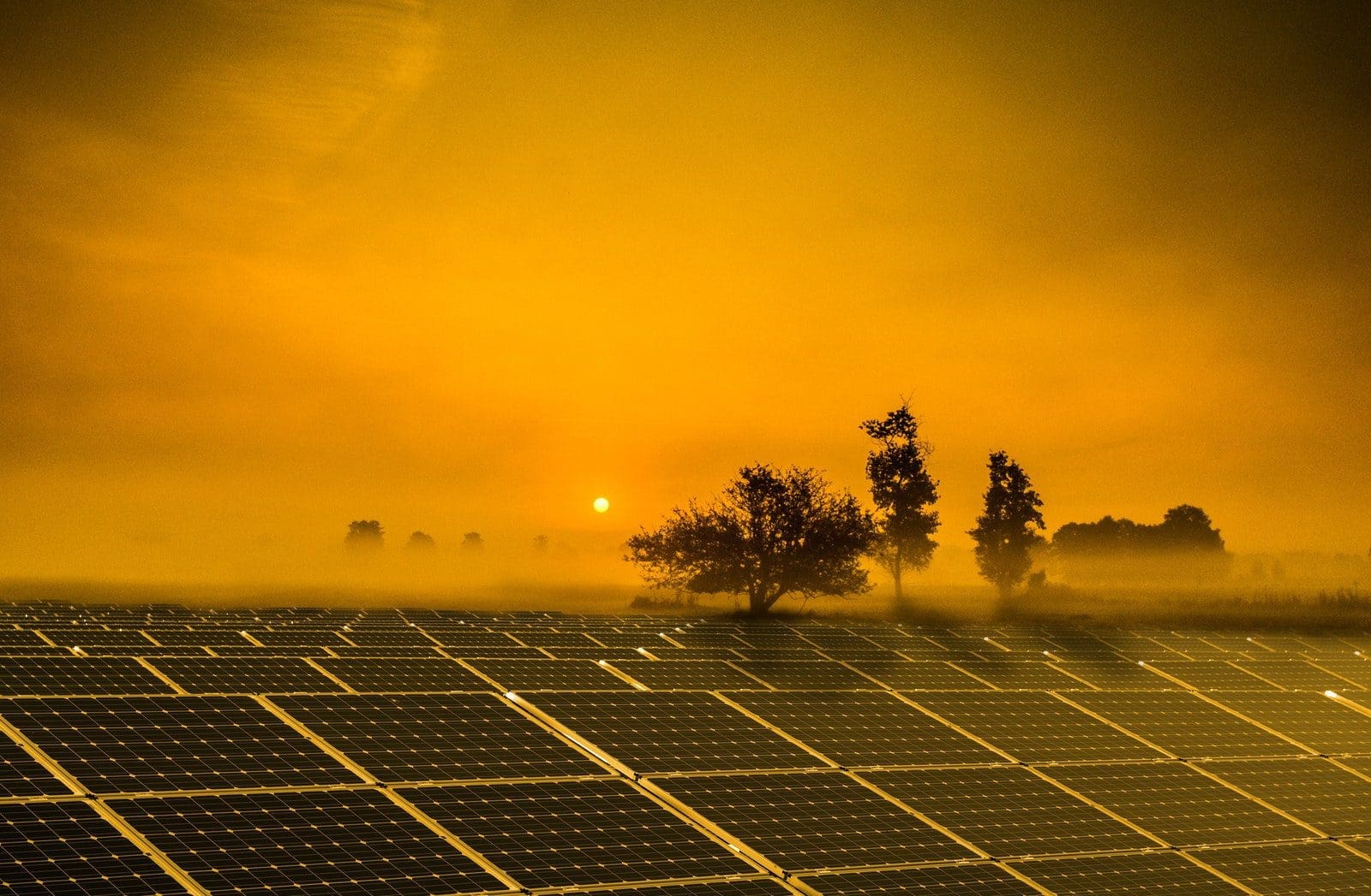 Solar Panels during Dusk