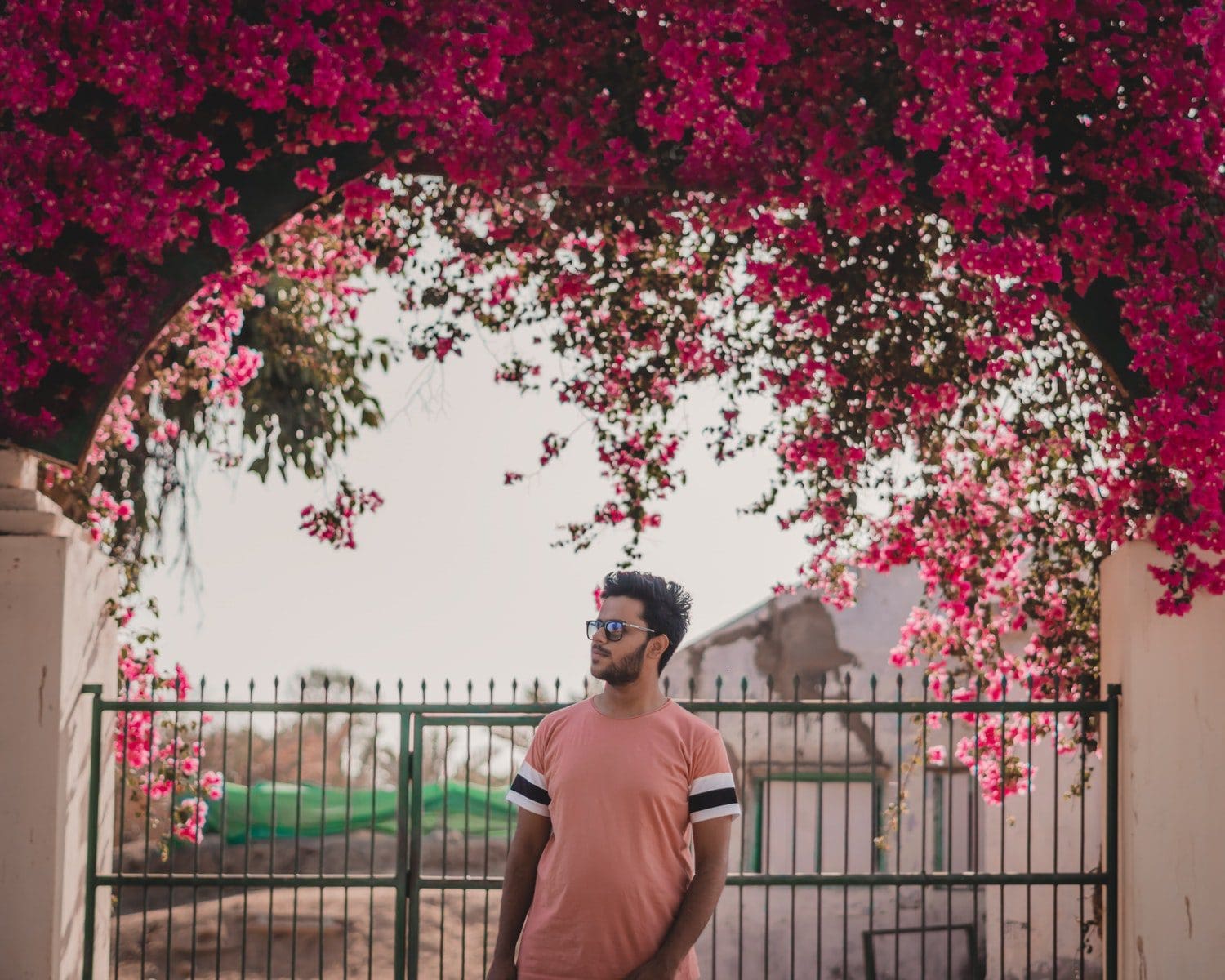 Photo of Man Standing In Front of Metal Gate With Pink Bougainvilleas Flowers Above it