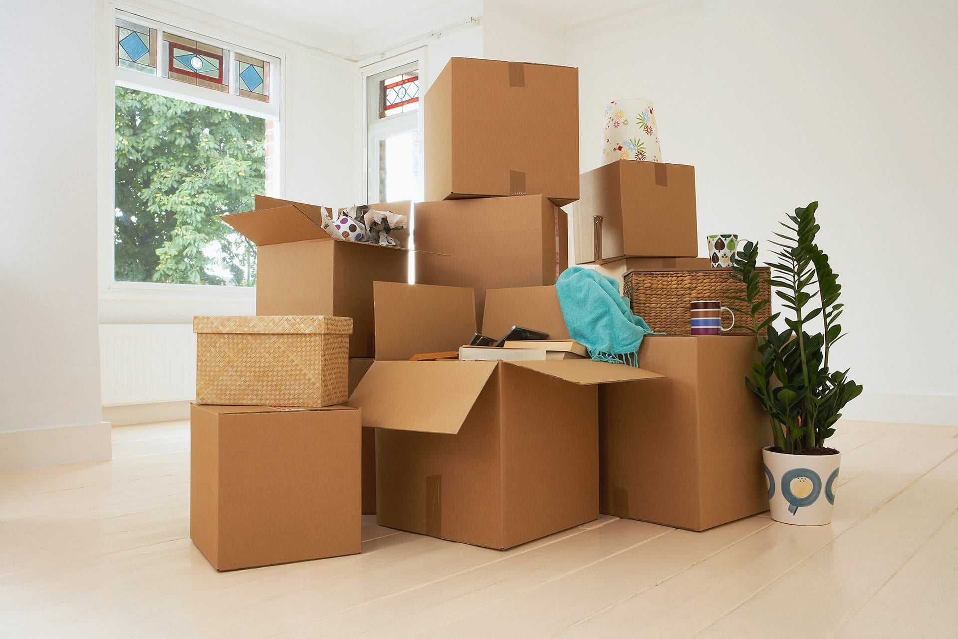 moving with your pet