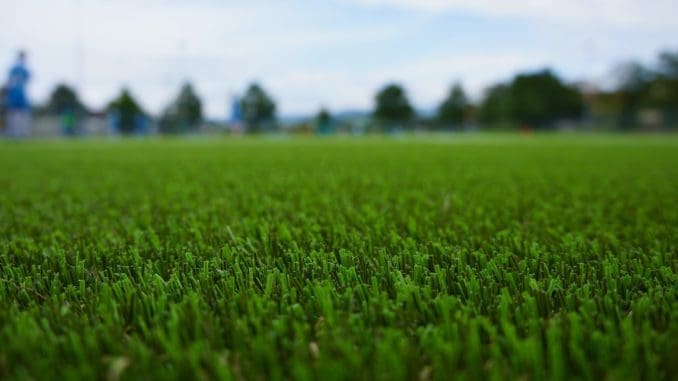green grass field during daytime turf supplier
